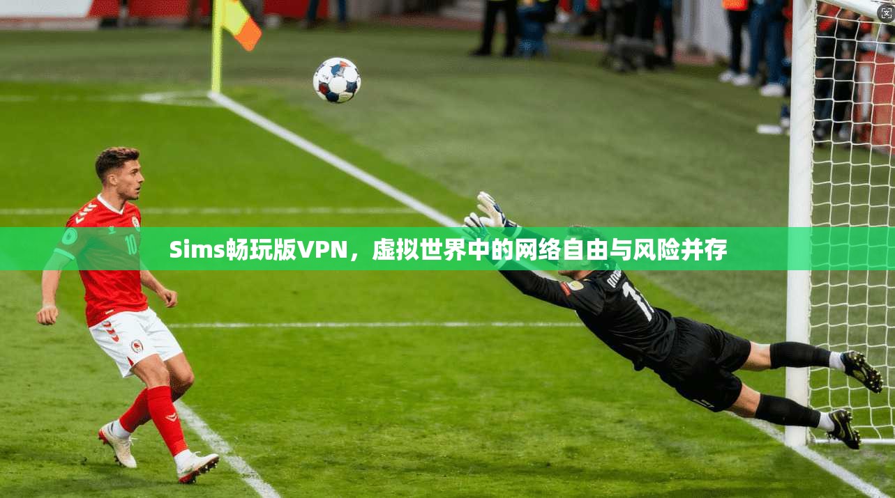 Sims畅玩版VPN,虚拟世界中的网络自由与风险并存