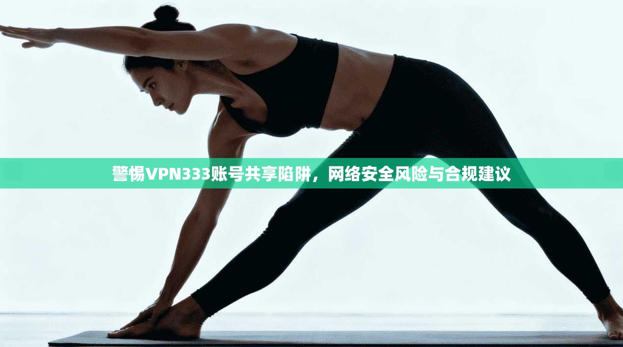 警惕VPN333账号共享陷阱，网络安全风险与合规建议