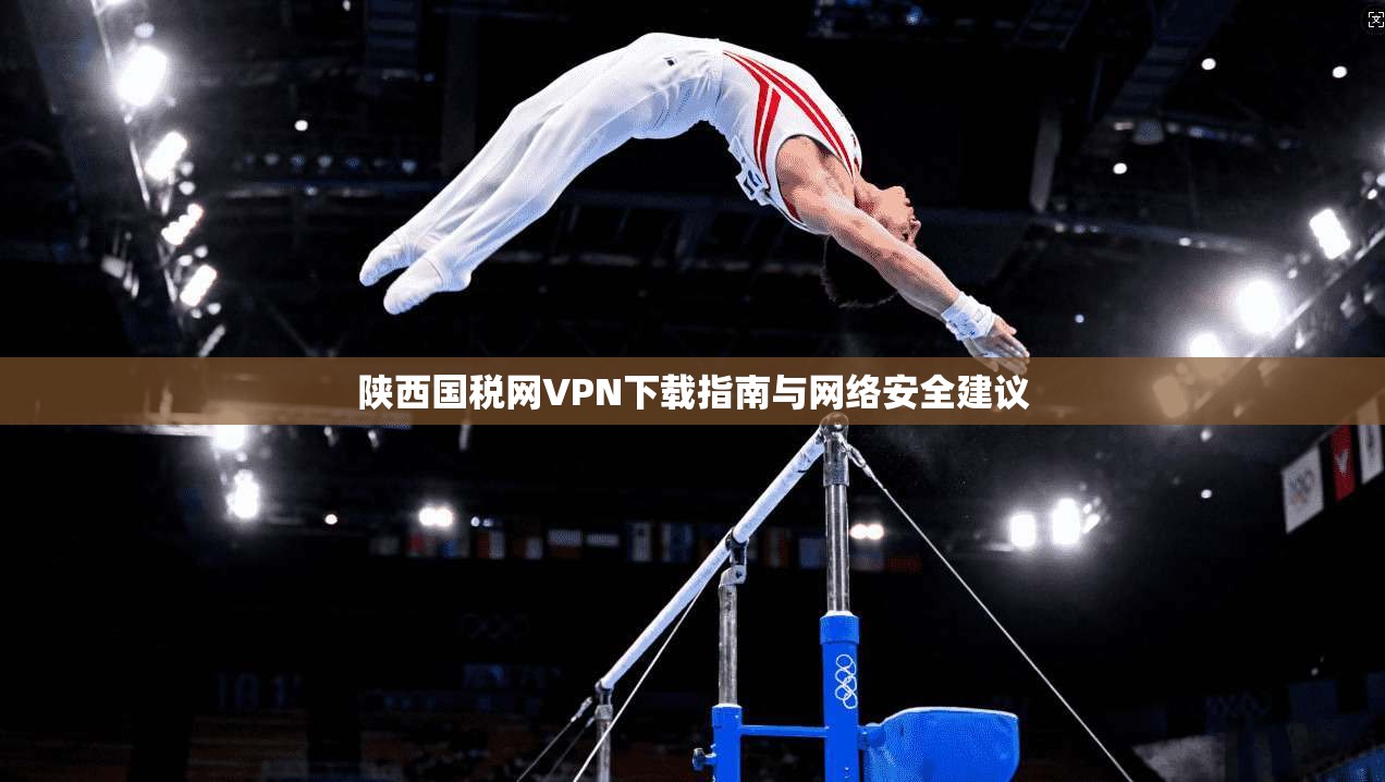陕西国税网VPN下载指南与网络安全建议