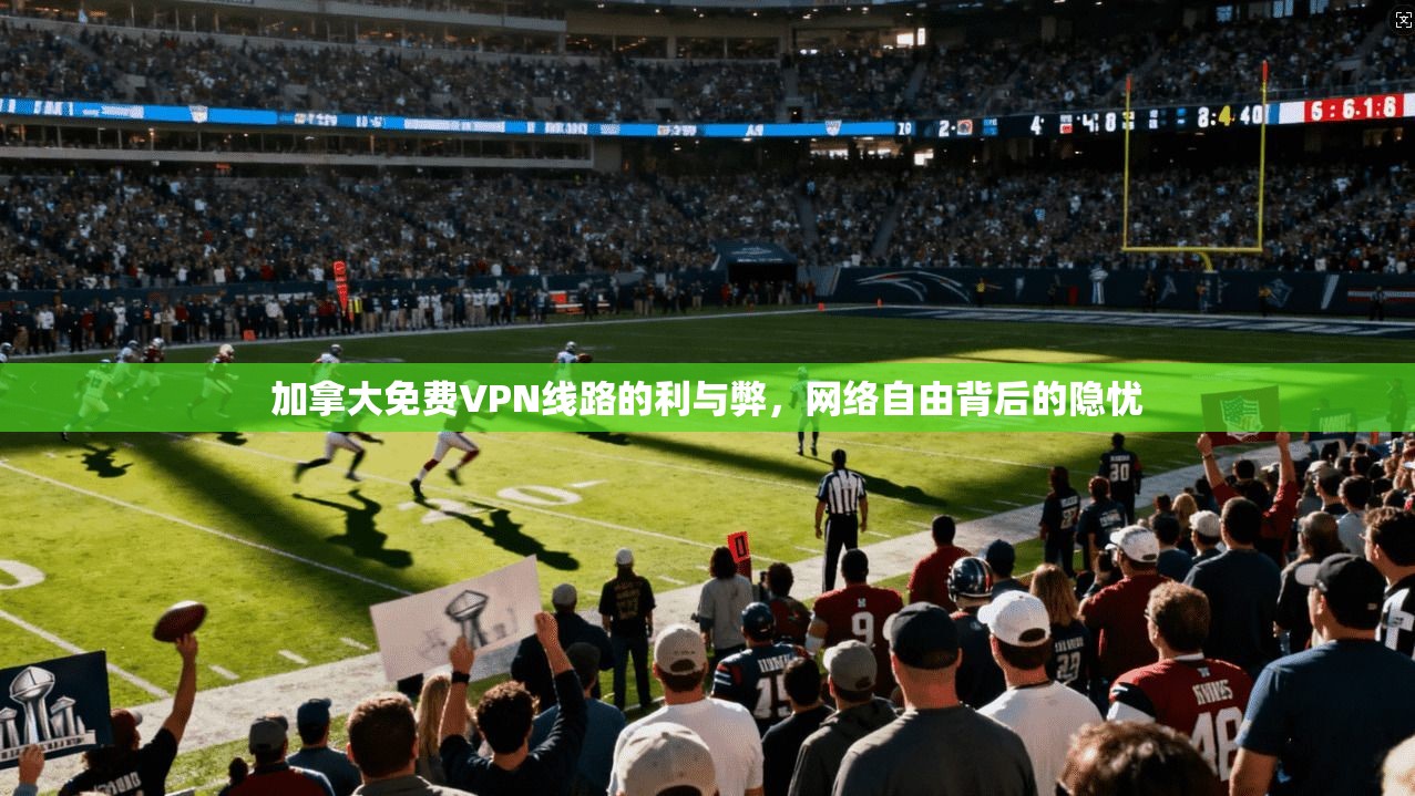 加拿大免费VPN线路的利与弊，网络自由背后的隐忧