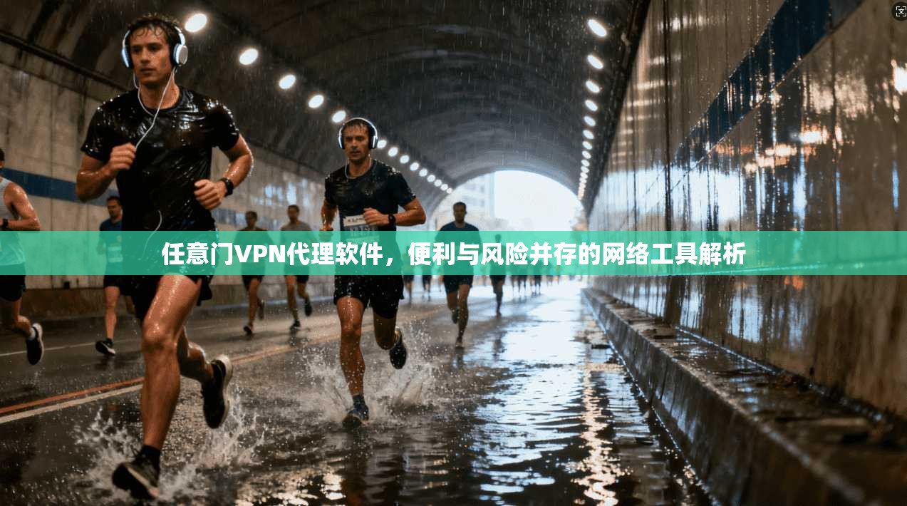 任意门VPN代理软件，便利与风险并存的网络工具解析