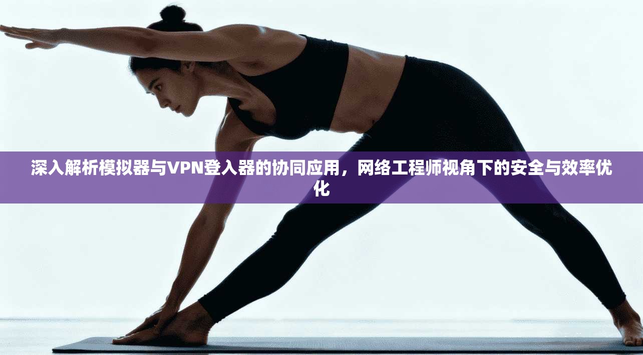 深入解析模拟器与VPN登入器的协同应用,网络工程师视角下的安全与效率优化