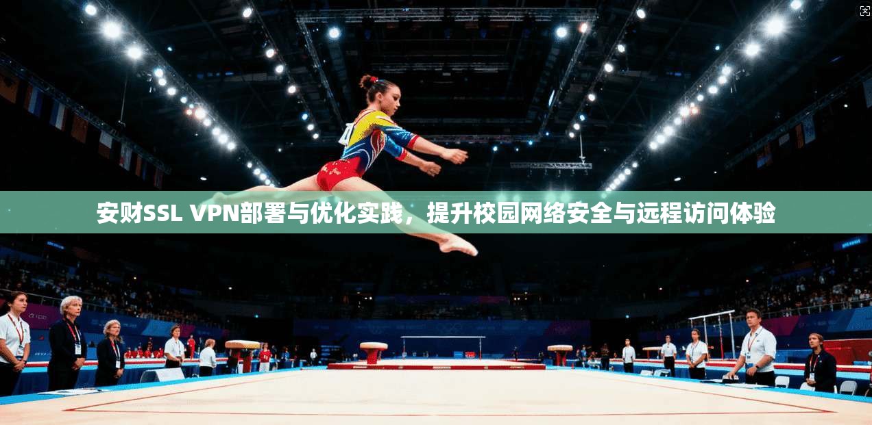 安财SSL VPN部署与优化实践，提升校园网络安全与远程访问体验