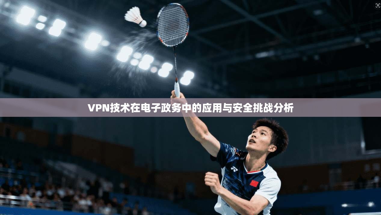 VPN技术在电子政务中的应用与安全挑战分析