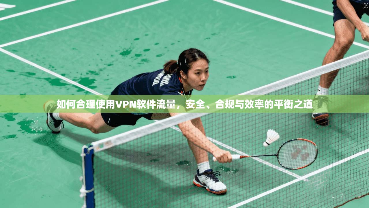 如何合理使用VPN软件流量,安全、合规与效率的平衡之道