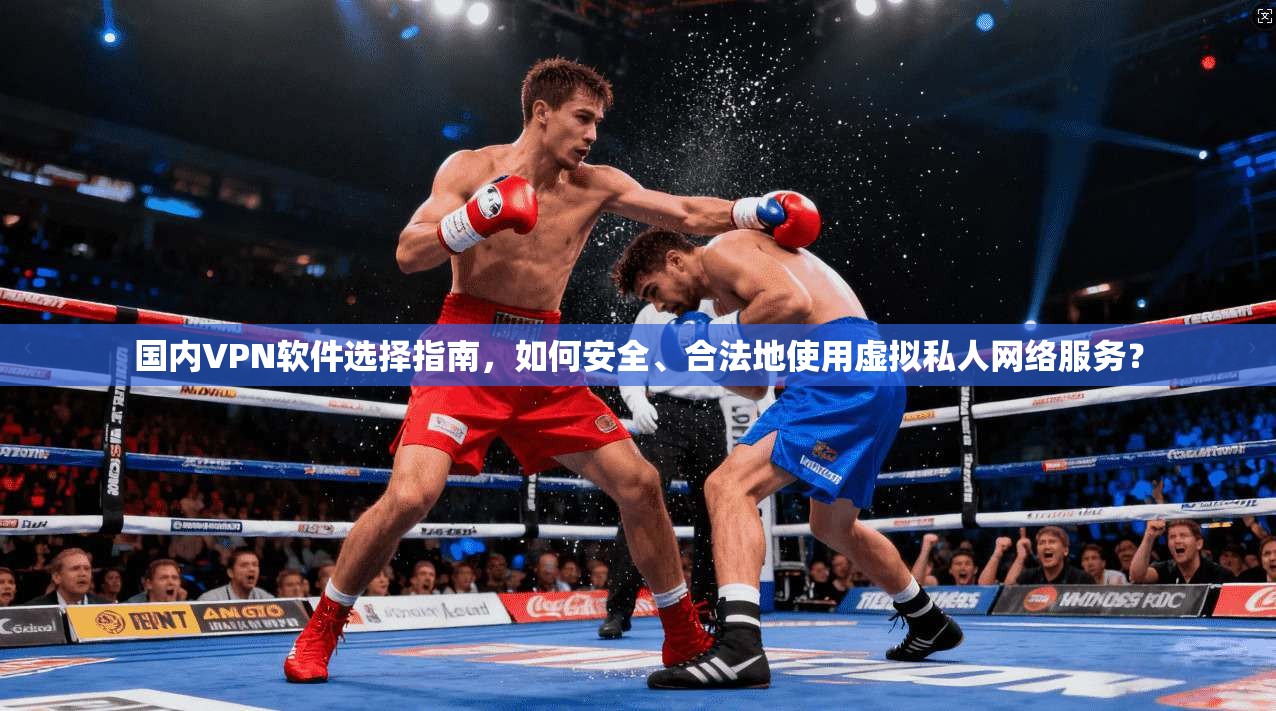国内VPN软件选择指南，如何安全、合法地使用虚拟私人网络服务？