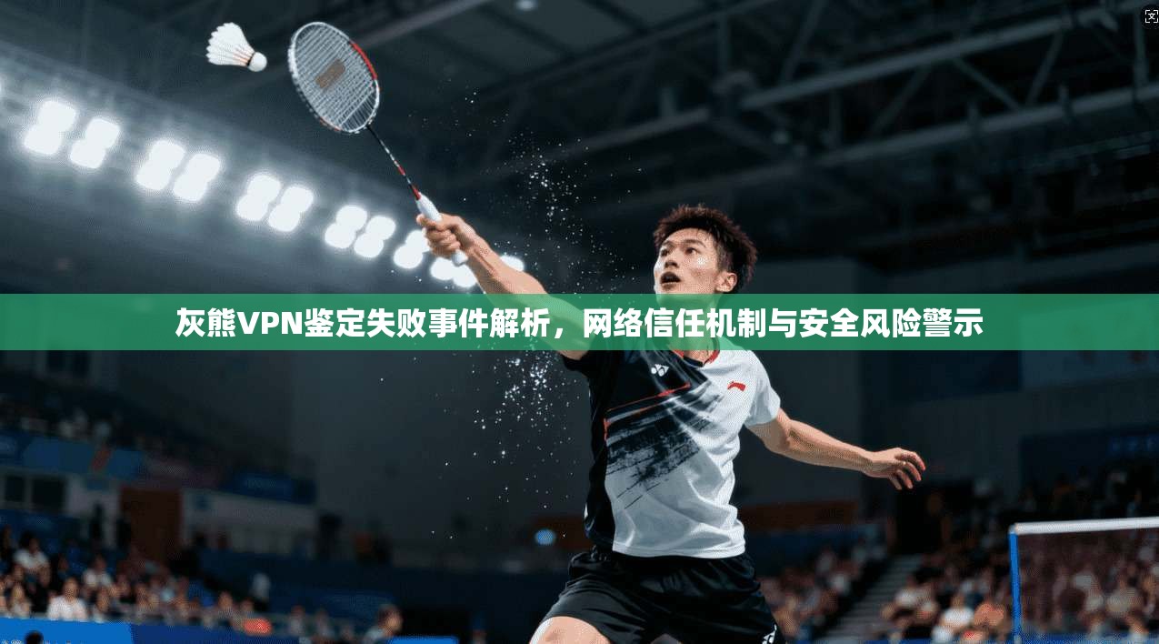 灰熊VPN鉴定失败事件解析，网络信任机制与安全风险警示