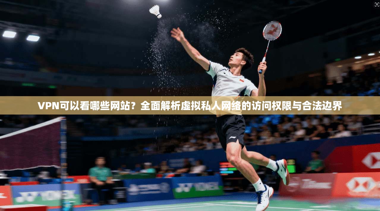 VPN可以看哪些网站？全面解析虚拟私人网络的访问权限与合法边界