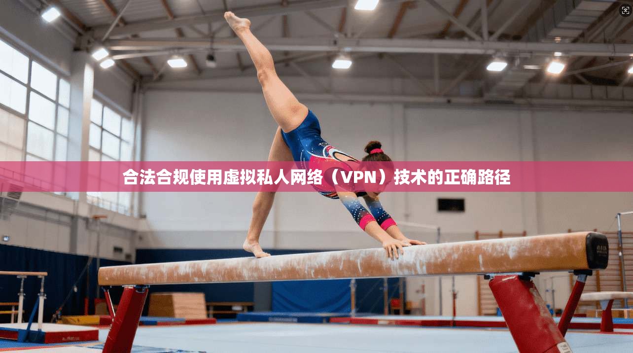 合法合规使用虚拟私人网络（VPN）技术的正确路径