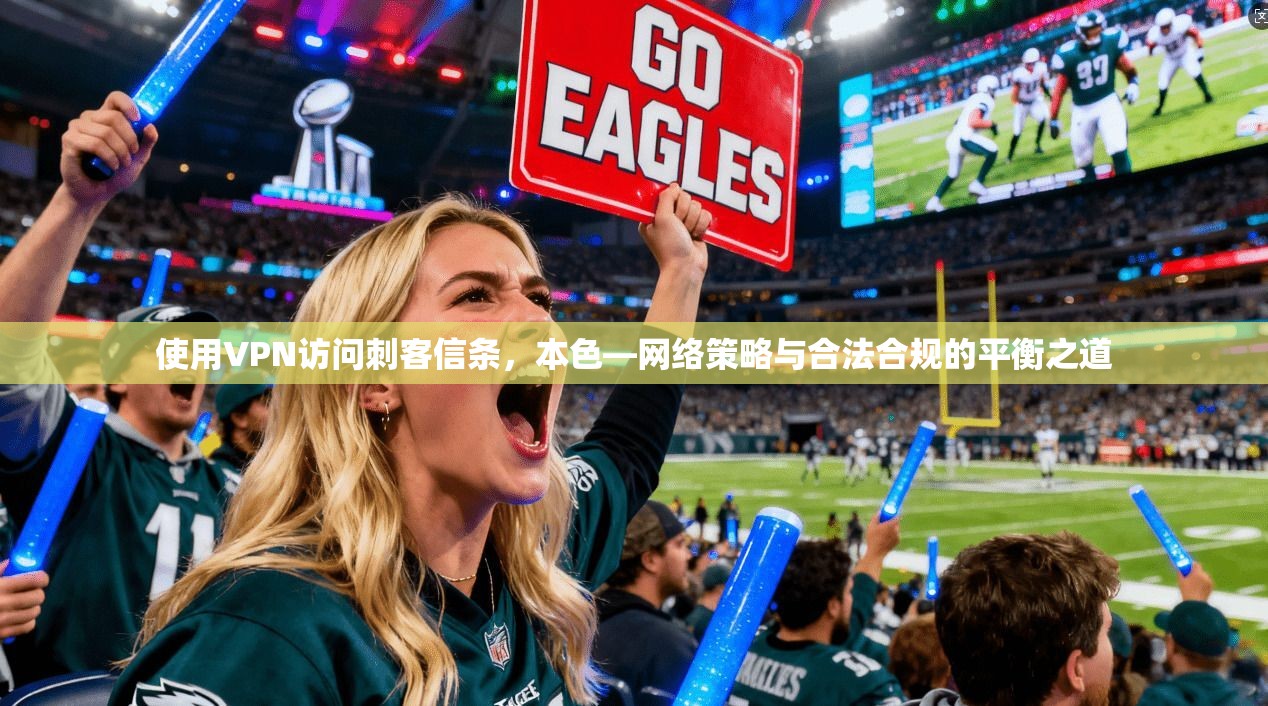使用VPN访问刺客信条，本色—网络策略与合法合规的平衡之道