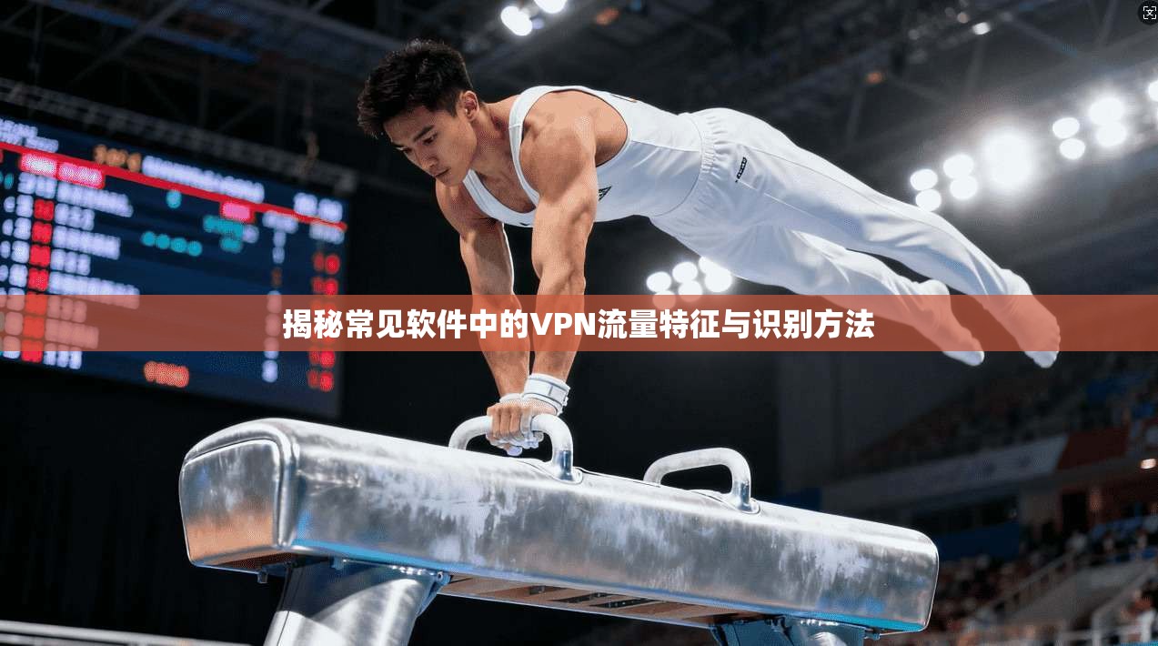 揭秘常见软件中的VPN流量特征与识别方法