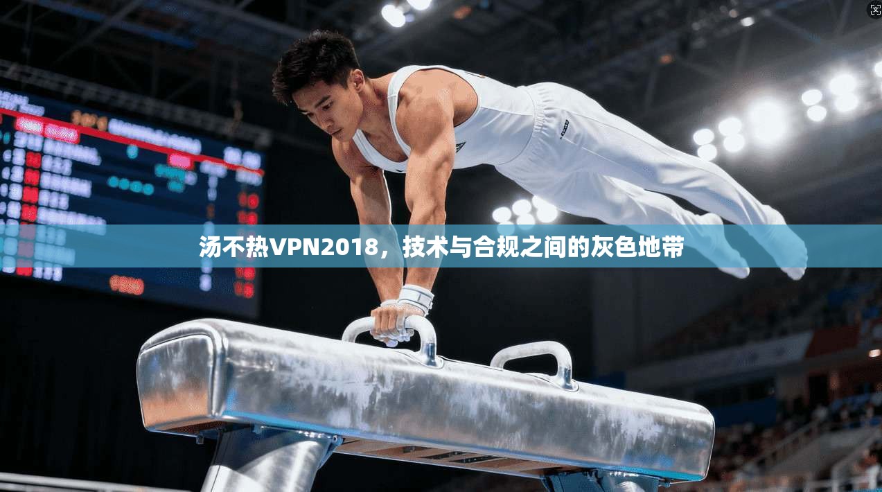 汤不热VPN2018，技术与合规之间的灰色地带