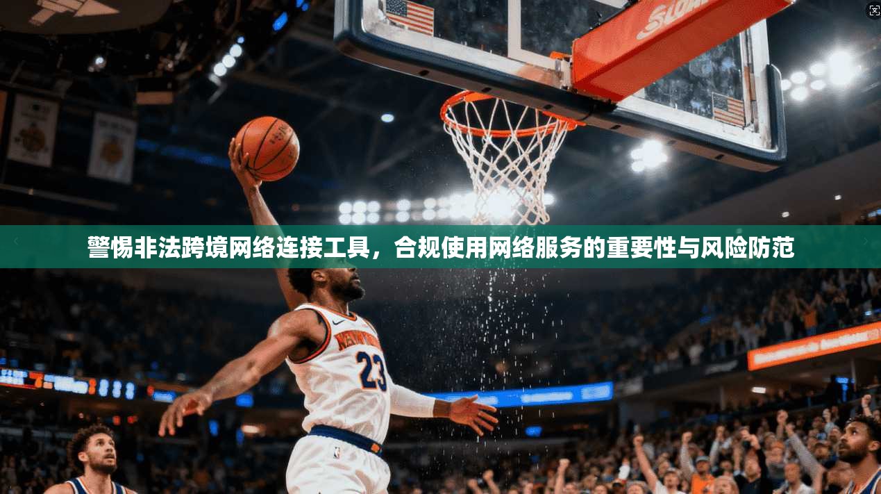 警惕非法跨境网络连接工具，合规使用网络服务的重要性与风险防范