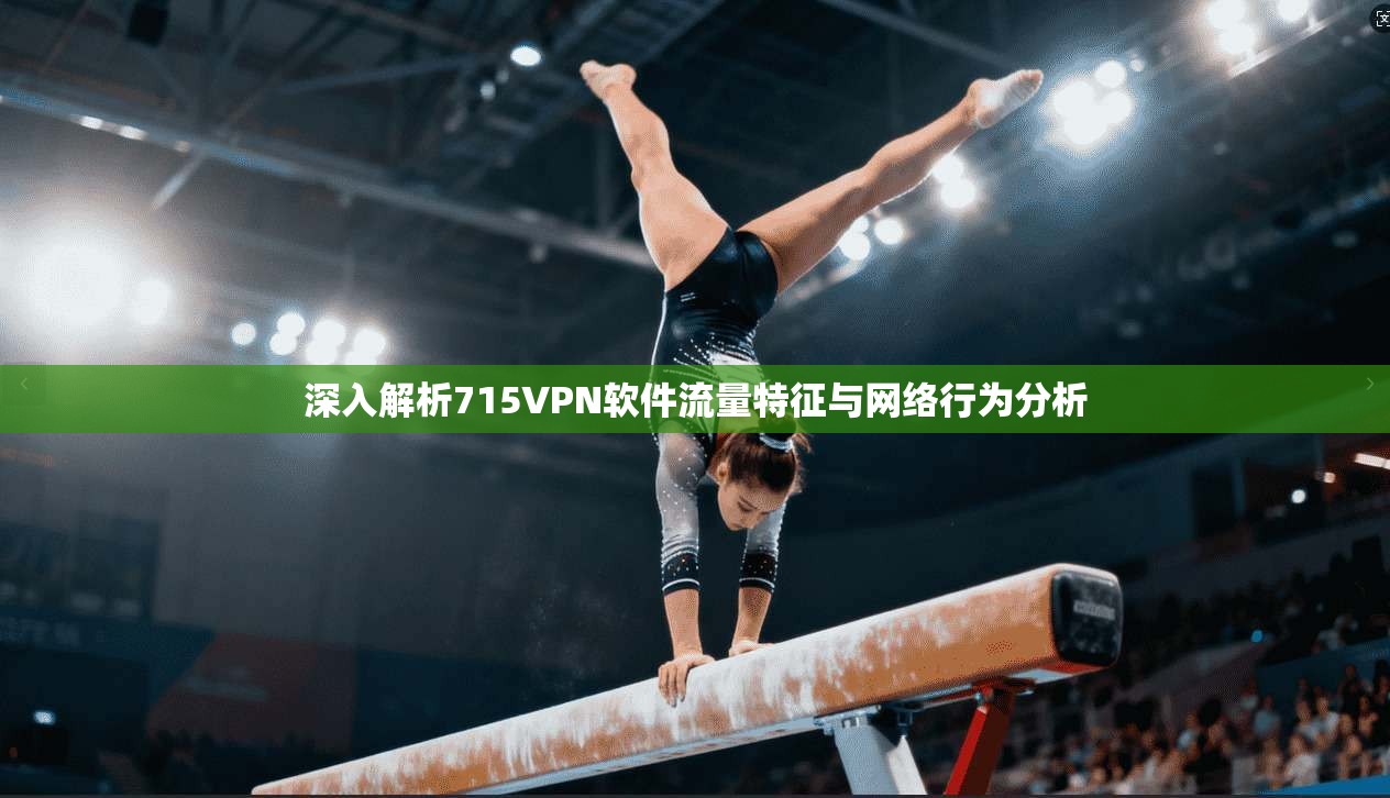 深入解析715VPN软件流量特征与网络行为分析