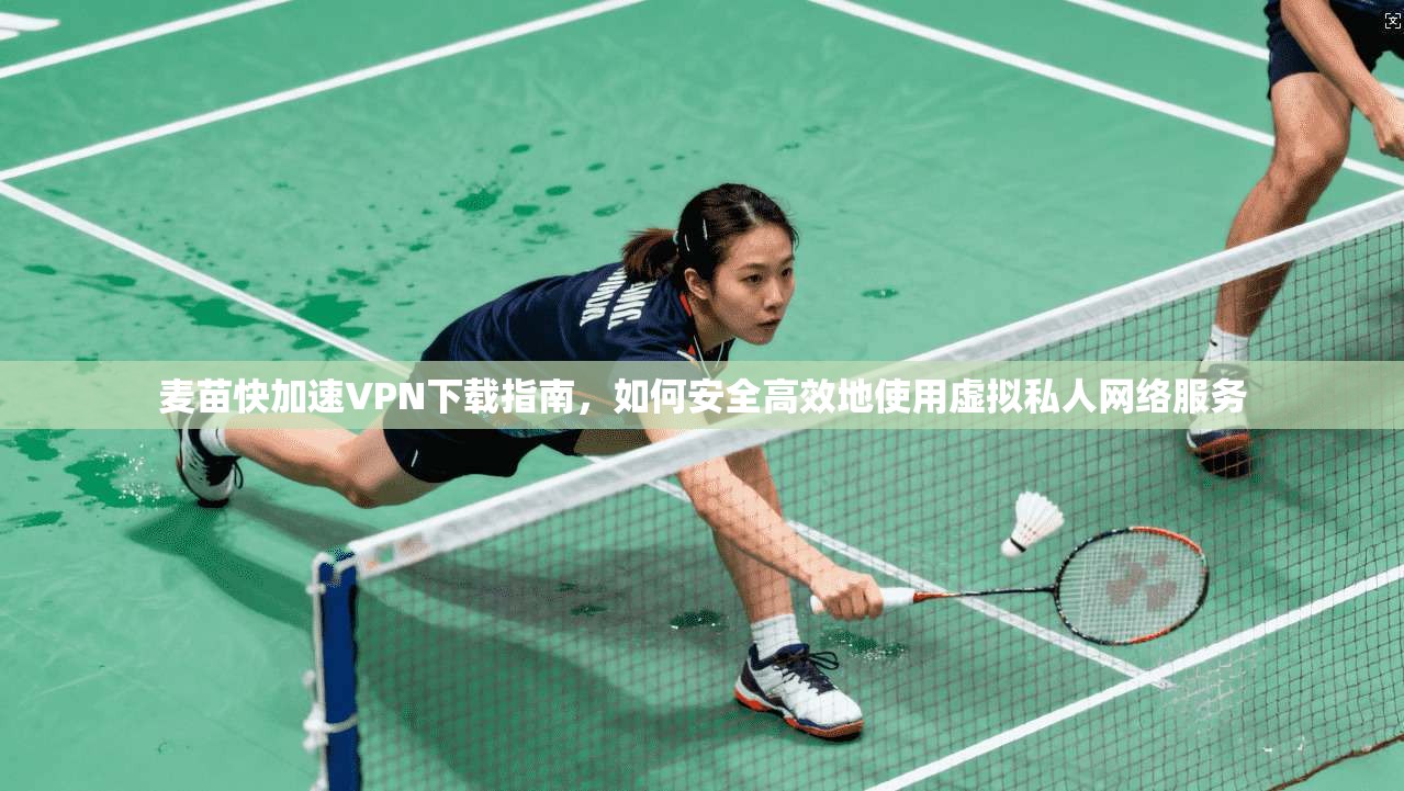 麦苗快加速VPN下载指南，如何安全高效地使用虚拟私人网络服务