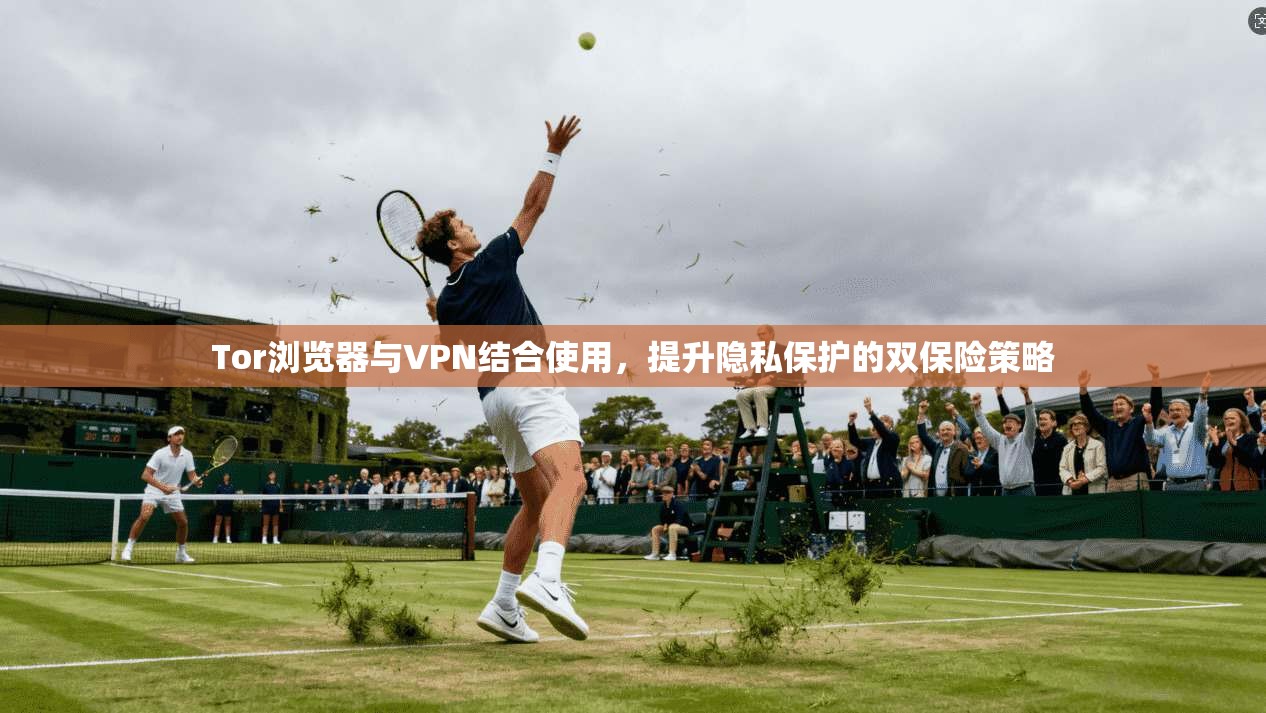 Tor浏览器与VPN结合使用，提升隐私保护的双保险策略