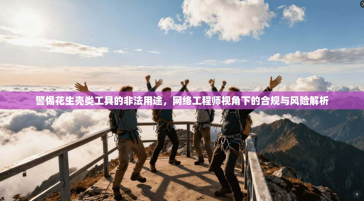 警惕花生壳类工具的非法用途，网络工程师视角下的合规与风险解析