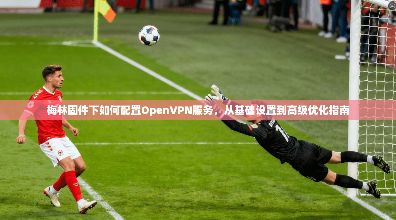 梅林固件下如何配置OpenVPN服务，从基础设置到高级优化指南