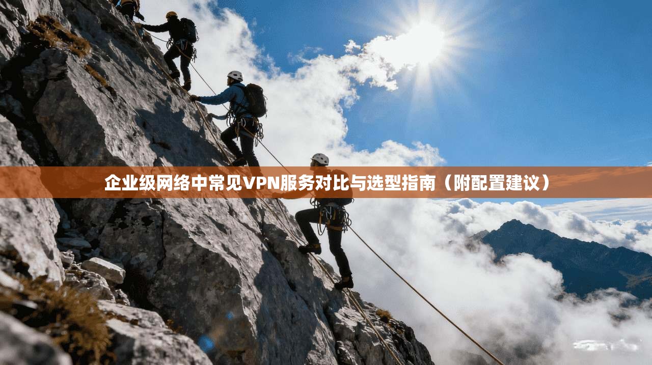 企业级网络中常见VPN服务对比与选型指南(附配置建议)