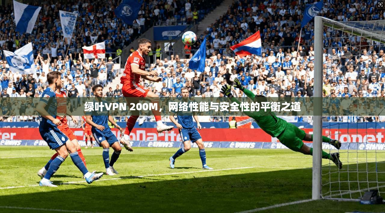 绿叶VPN 200M，网络性能与安全性的平衡之道