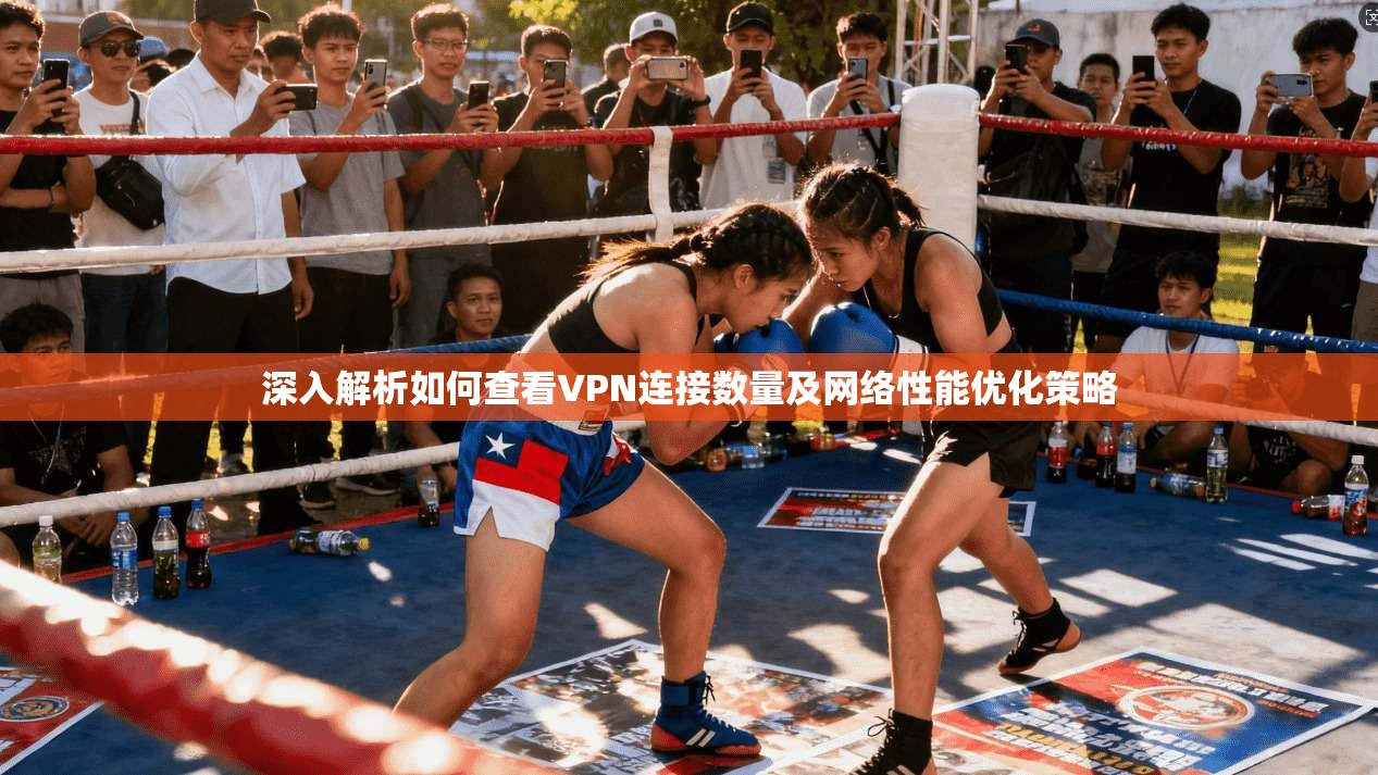 深入解析如何查看VPN连接数量及网络性能优化策略