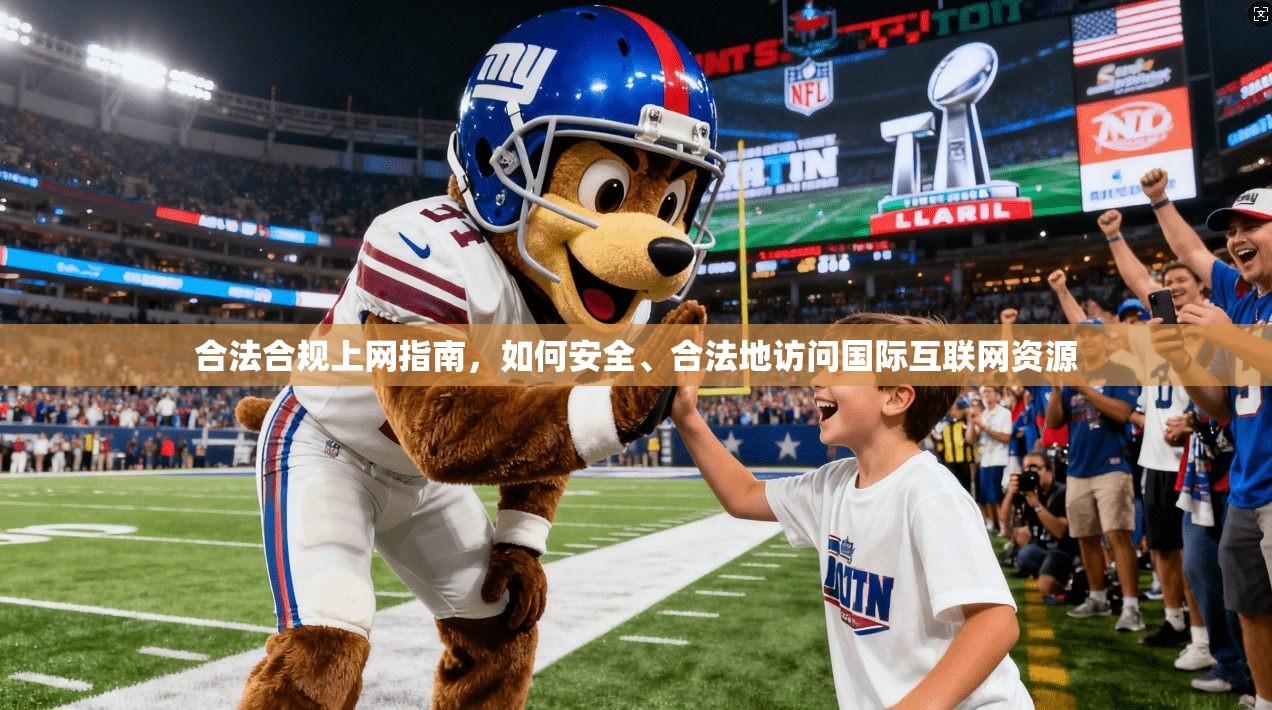 合法合规上网指南，如何安全、合法地访问国际互联网资源