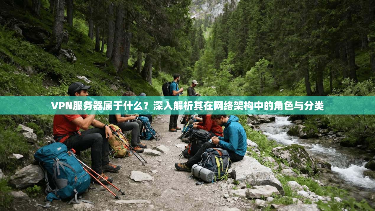 VPN服务器属于什么？深入解析其在网络架构中的角色与分类