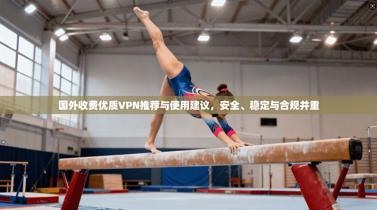 国外收费优质VPN推荐与使用建议，安全、稳定与合规并重