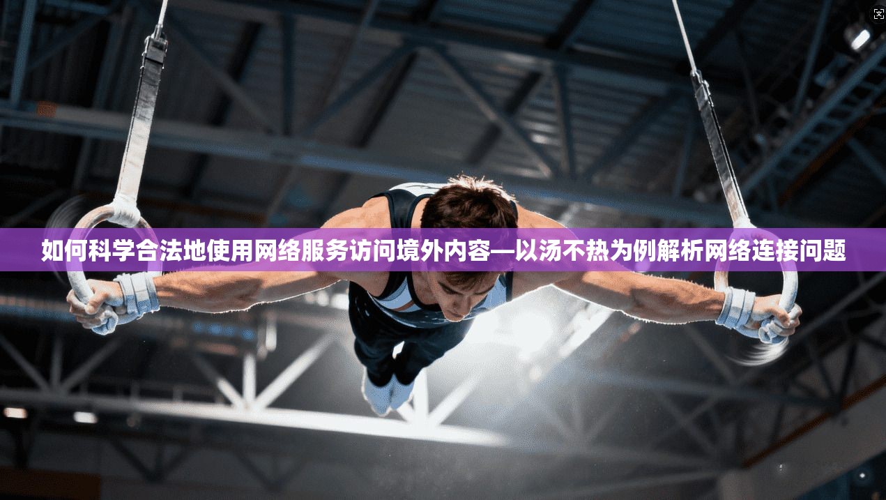 如何科学合法地使用网络服务访问境外内容—以汤不热为例解析网络连接问题
