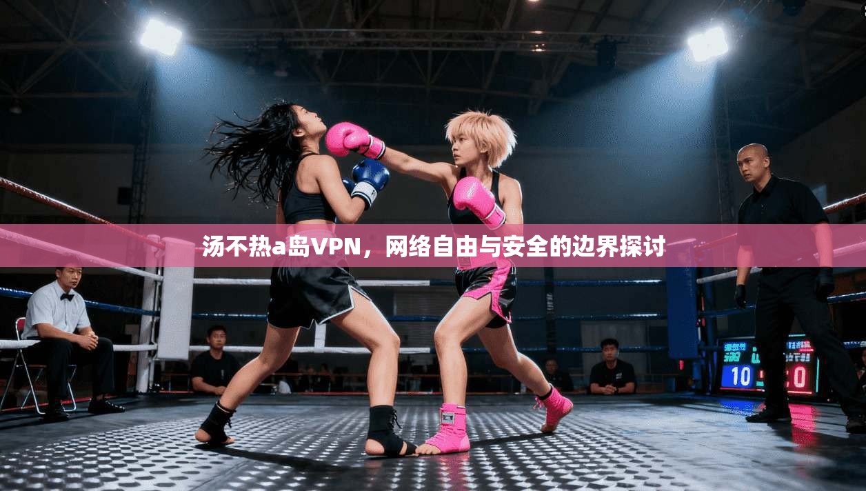 汤不热a岛VPN，网络自由与安全的边界探讨