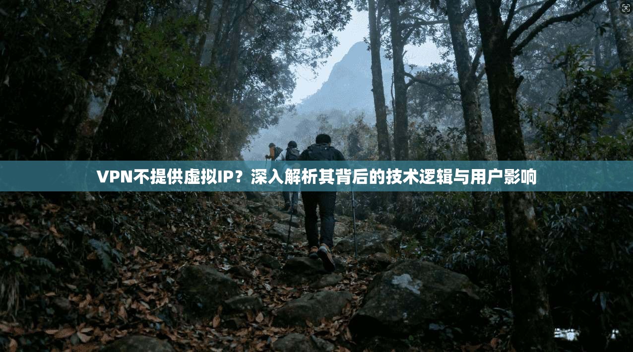 VPN不提供虚拟IP？深入解析其背后的技术逻辑与用户影响