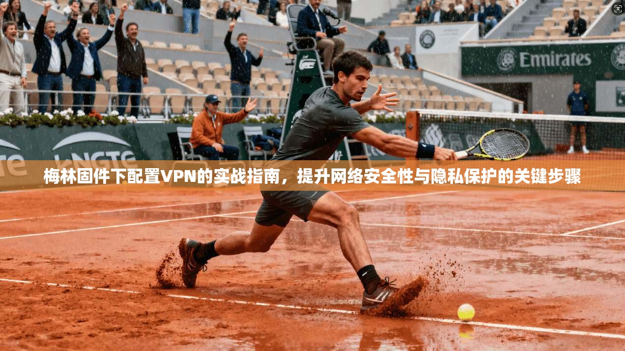 梅林固件下配置VPN的实战指南，提升网络安全性与隐私保护的关键步骤