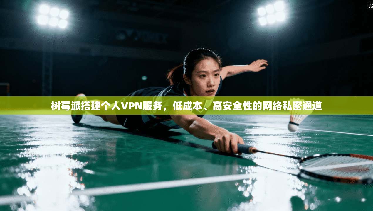 树莓派搭建个人VPN服务,低成本、高安全性的网络私密通道