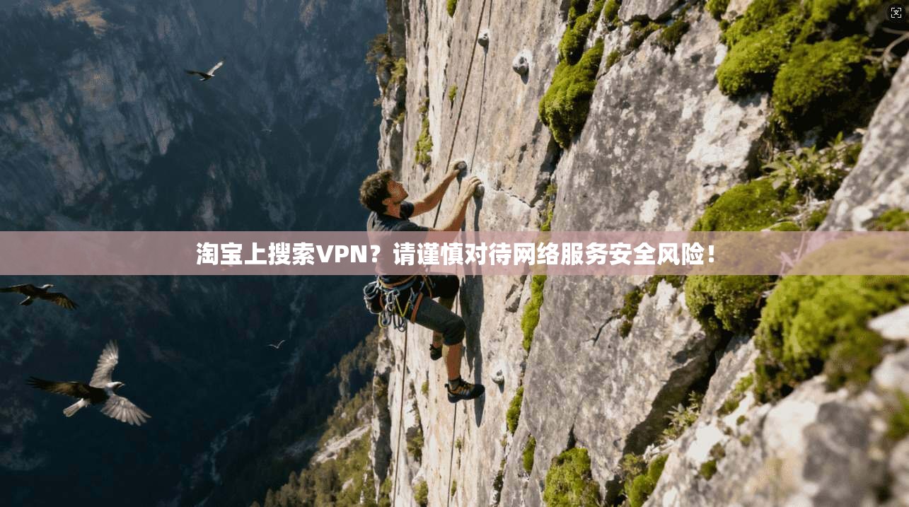 淘宝上搜索VPN?请谨慎对待网络服务安全风险!