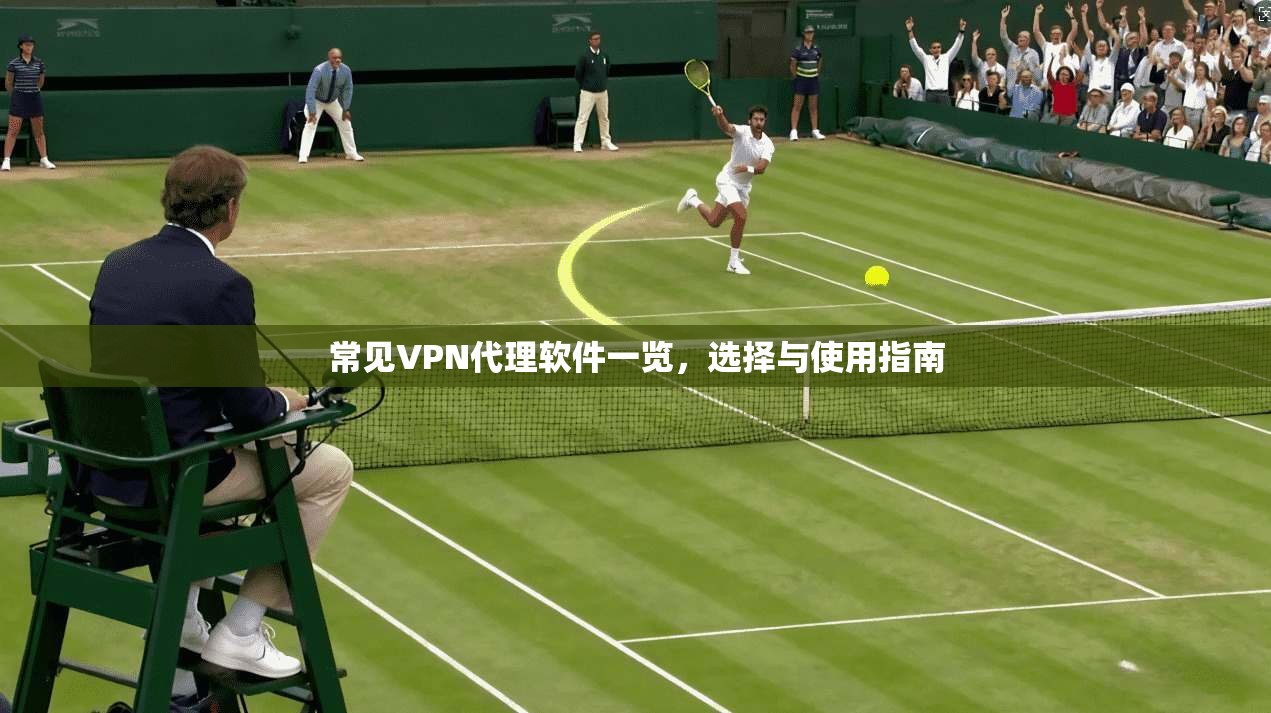 常见VPN代理软件一览，选择与使用指南  第1张