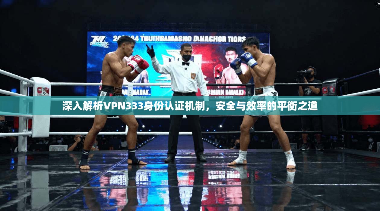 深入解析VPN333身份认证机制，安全与效率的平衡之道