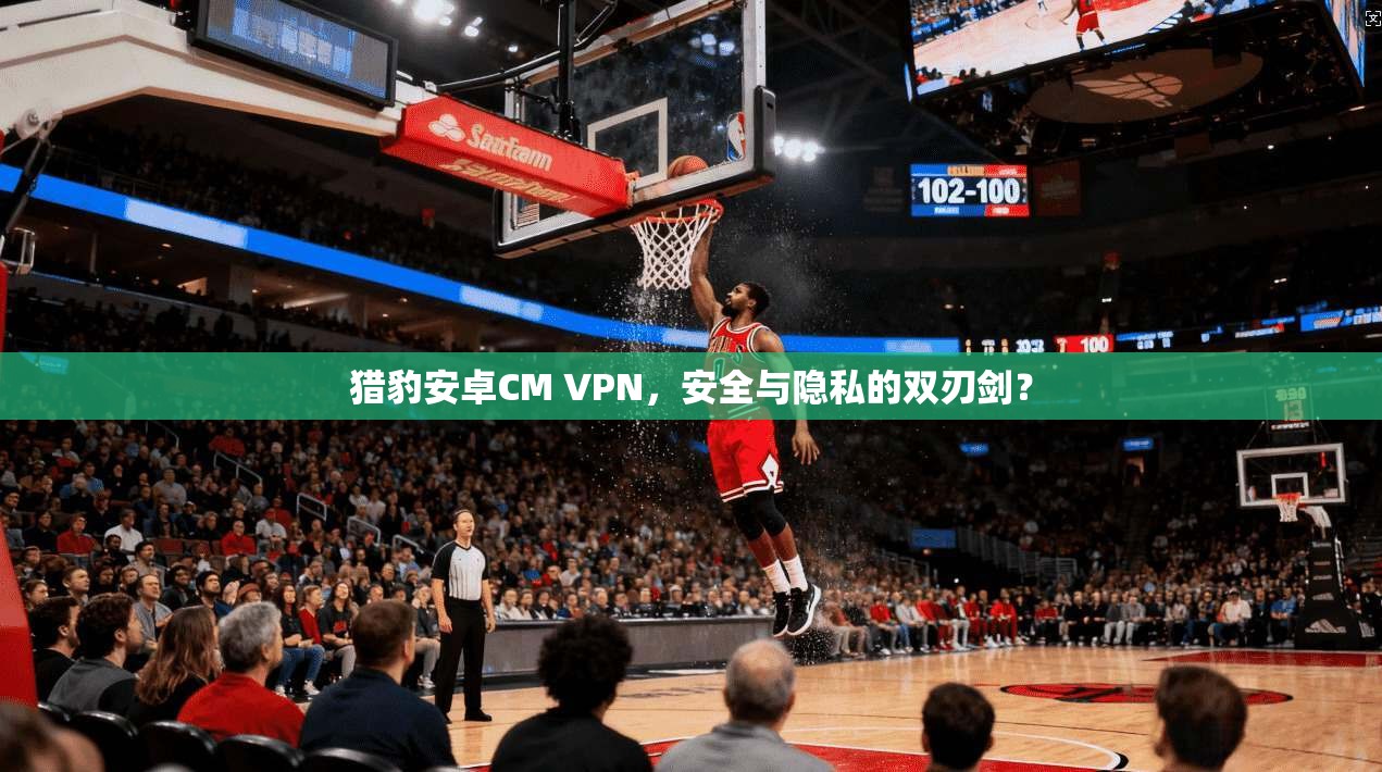 猎豹安卓CM VPN，安全与隐私的双刃剑？