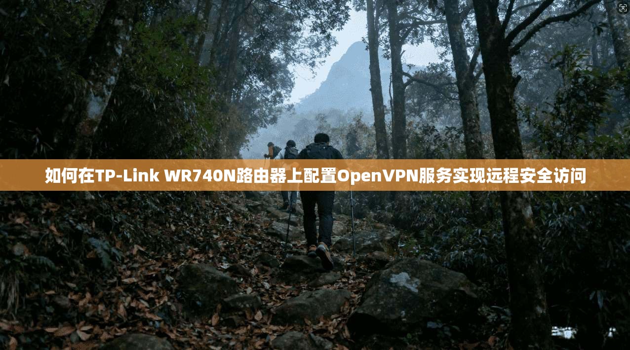 如何在TP-Link WR740N路由器上配置OpenVPN服务实现远程安全访问