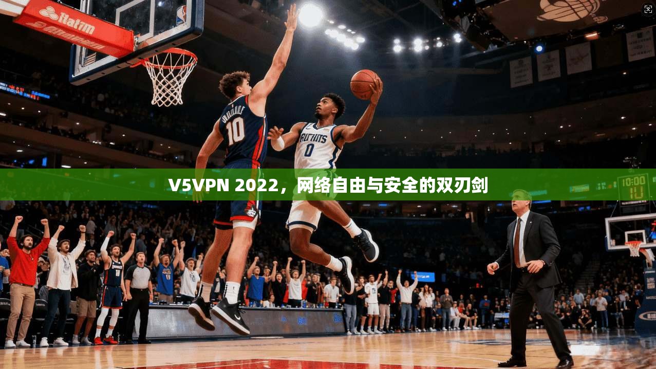 V5VPN 2022，网络自由与安全的双刃剑