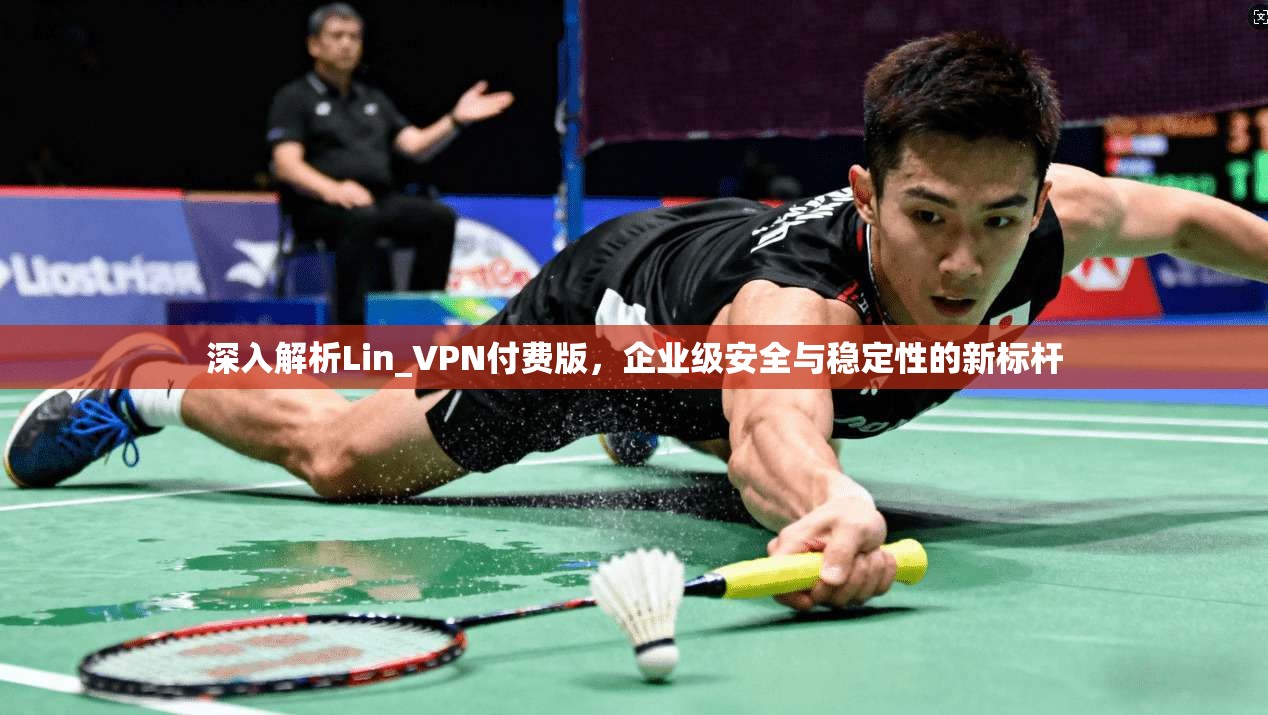 深入解析Lin_VPN付费版,企业级安全与稳定性的新标杆