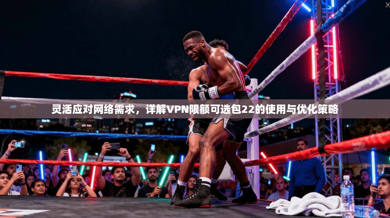 灵活应对网络需求，详解VPN限额可选包22的使用与优化策略