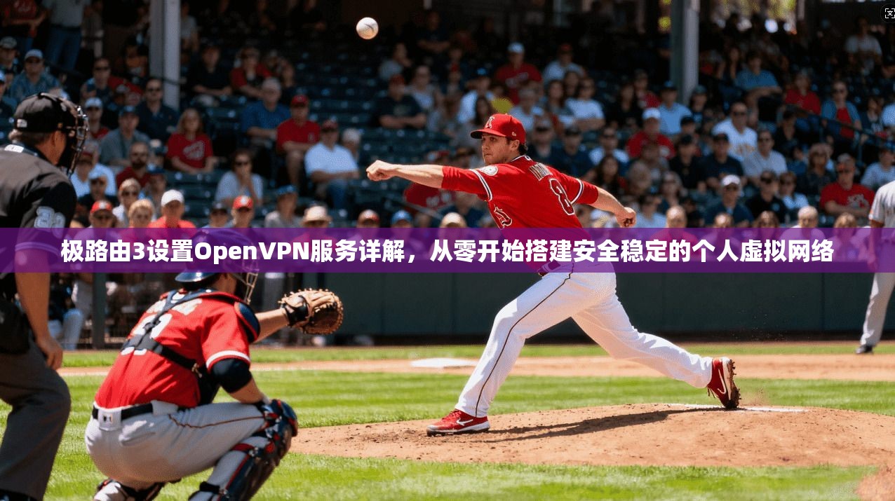 极路由3设置OpenVPN服务详解,从零开始搭建安全稳定的个人虚拟网络