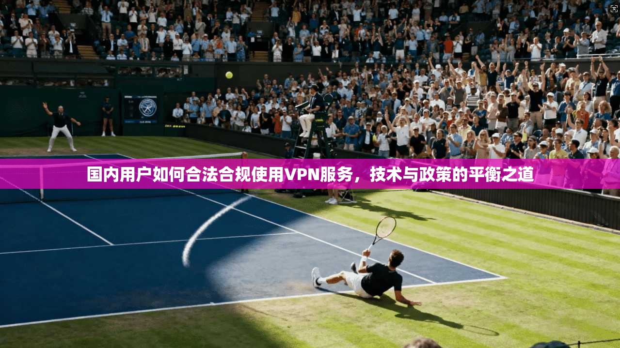 国内用户如何合法合规使用VPN服务,技术与政策的平衡之道