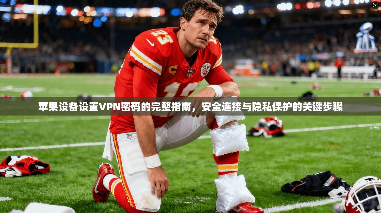 苹果设备设置VPN密码的完整指南，安全连接与隐私保护的关键步骤