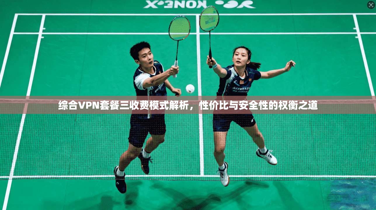 综合VPN套餐三收费模式解析，性价比与安全性的权衡之道