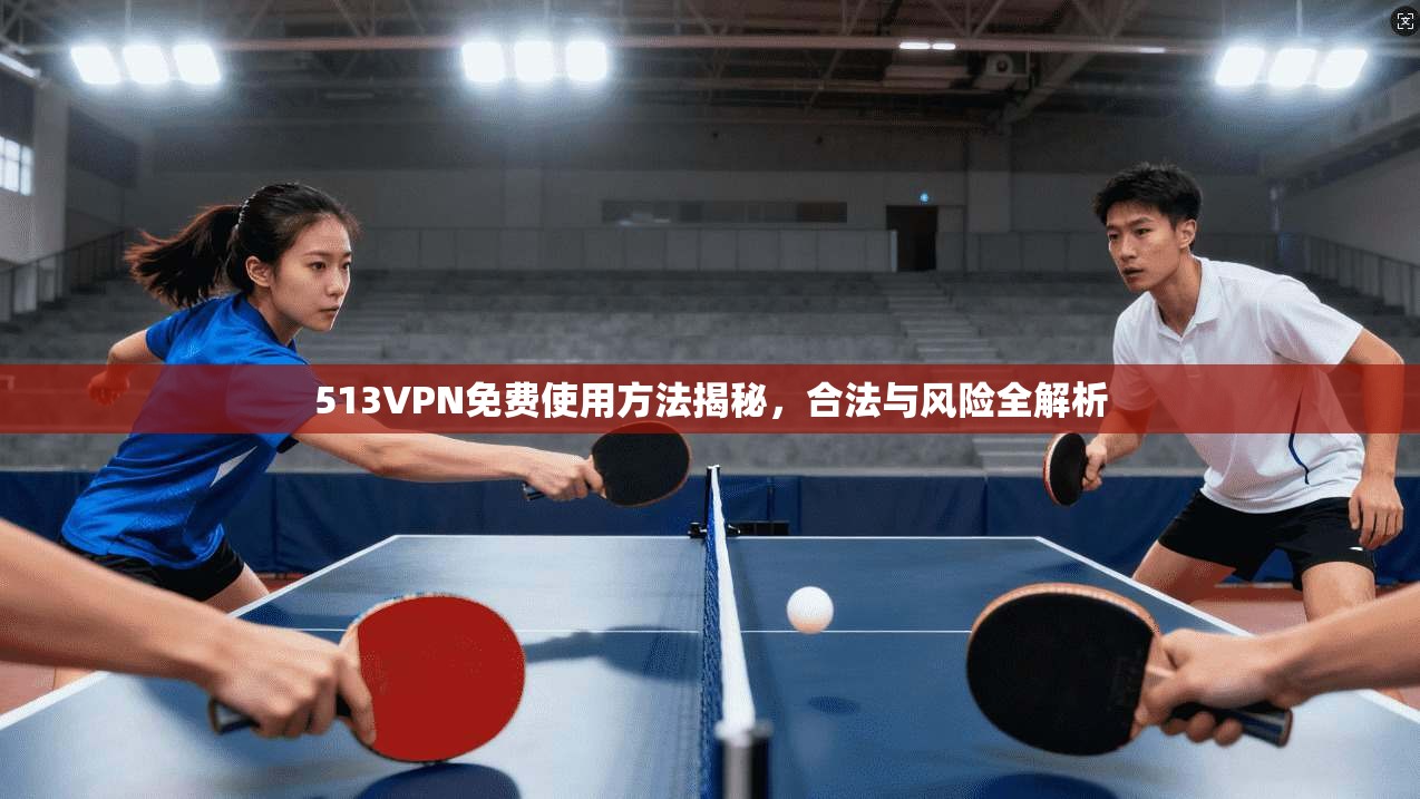 513VPN免费使用方法揭秘，合法与风险全解析