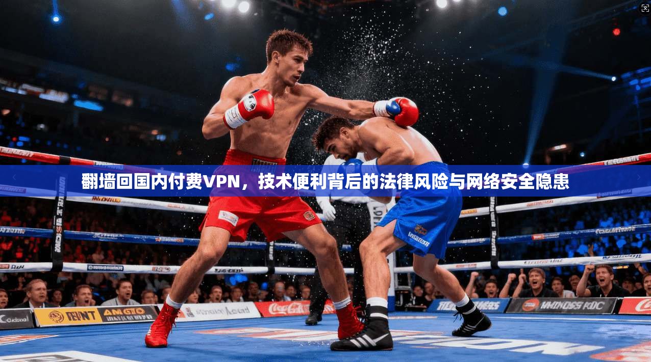 翻墙回国内付费VPN，技术便利背后的法律风险与网络安全隐患