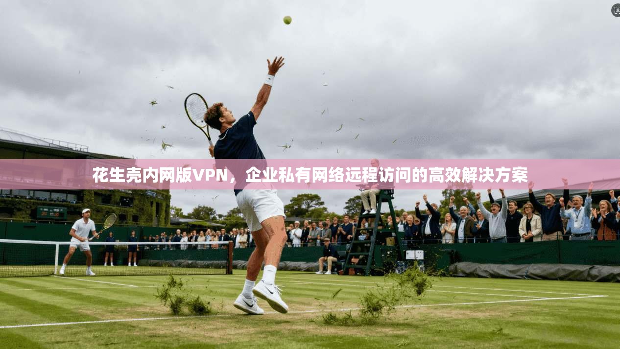 花生壳内网版VPN，企业私有网络远程访问的高效解决方案