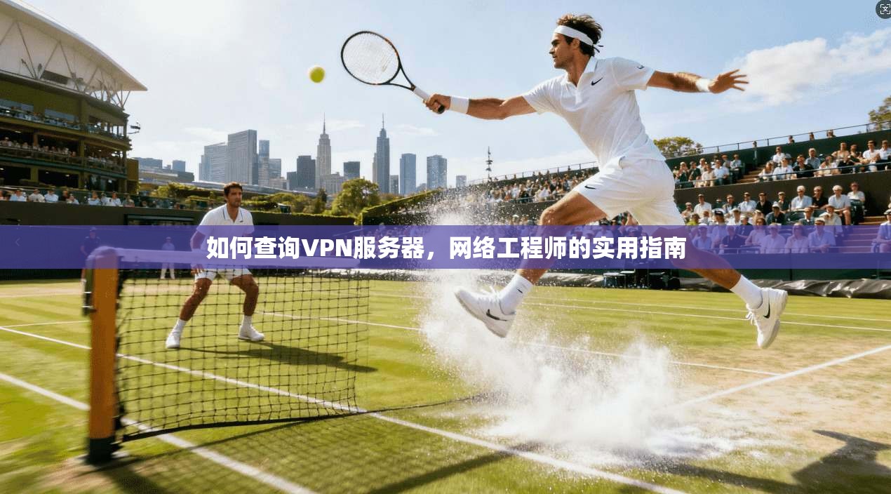 如何查询VPN服务器,网络工程师的实用指南