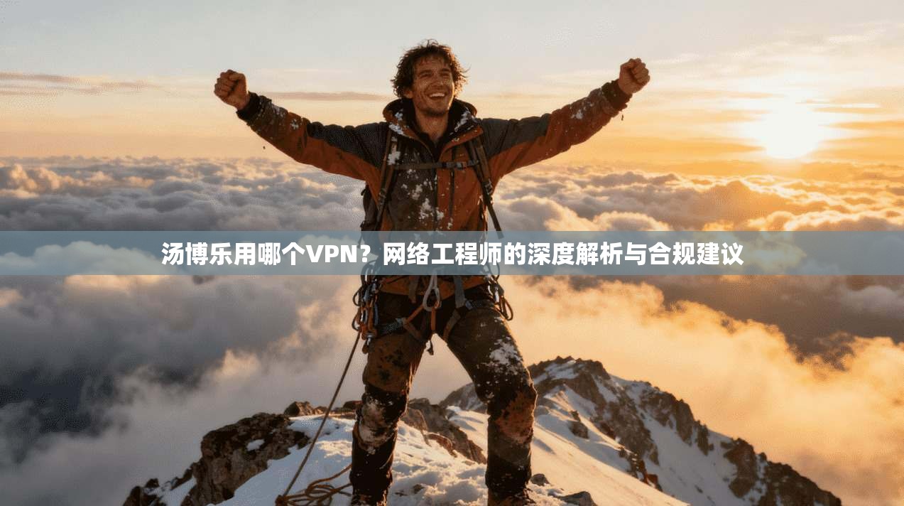 汤博乐用哪个VPN?网络工程师的深度解析与合规建议